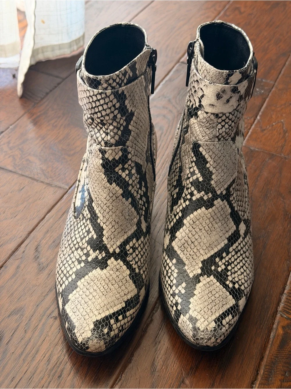 Calvin Klein Black & Ivory Snakeskin-Print Ankle Booties